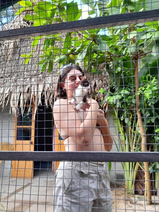 The Seaside Bungalow Hostel And Bar Hoi An Luaran gambar